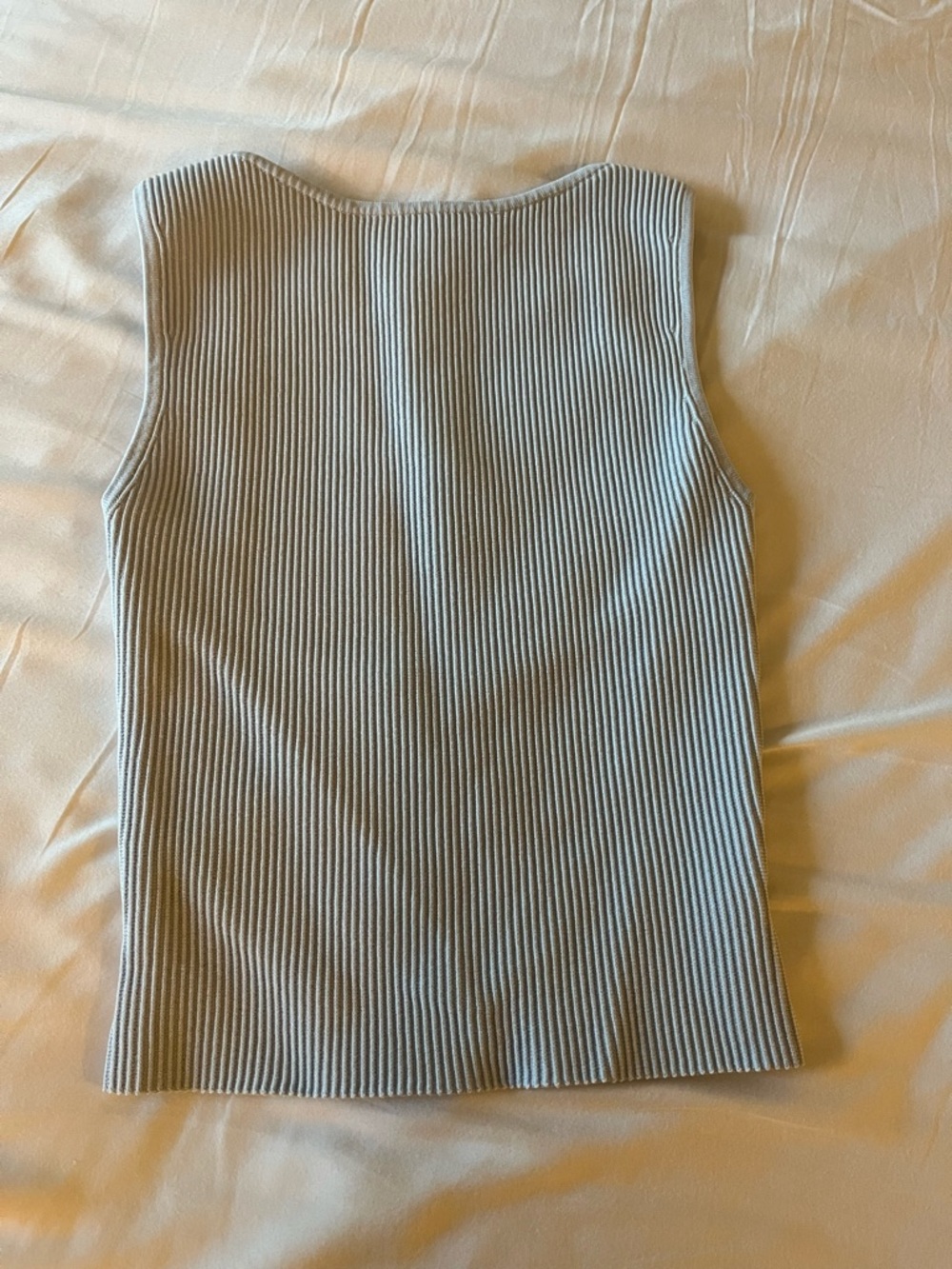 Aritzia Babaton sculpt tank in glimmer
